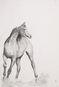 Mozgókép, 1. sorozat, 2012 (grafit, papír)